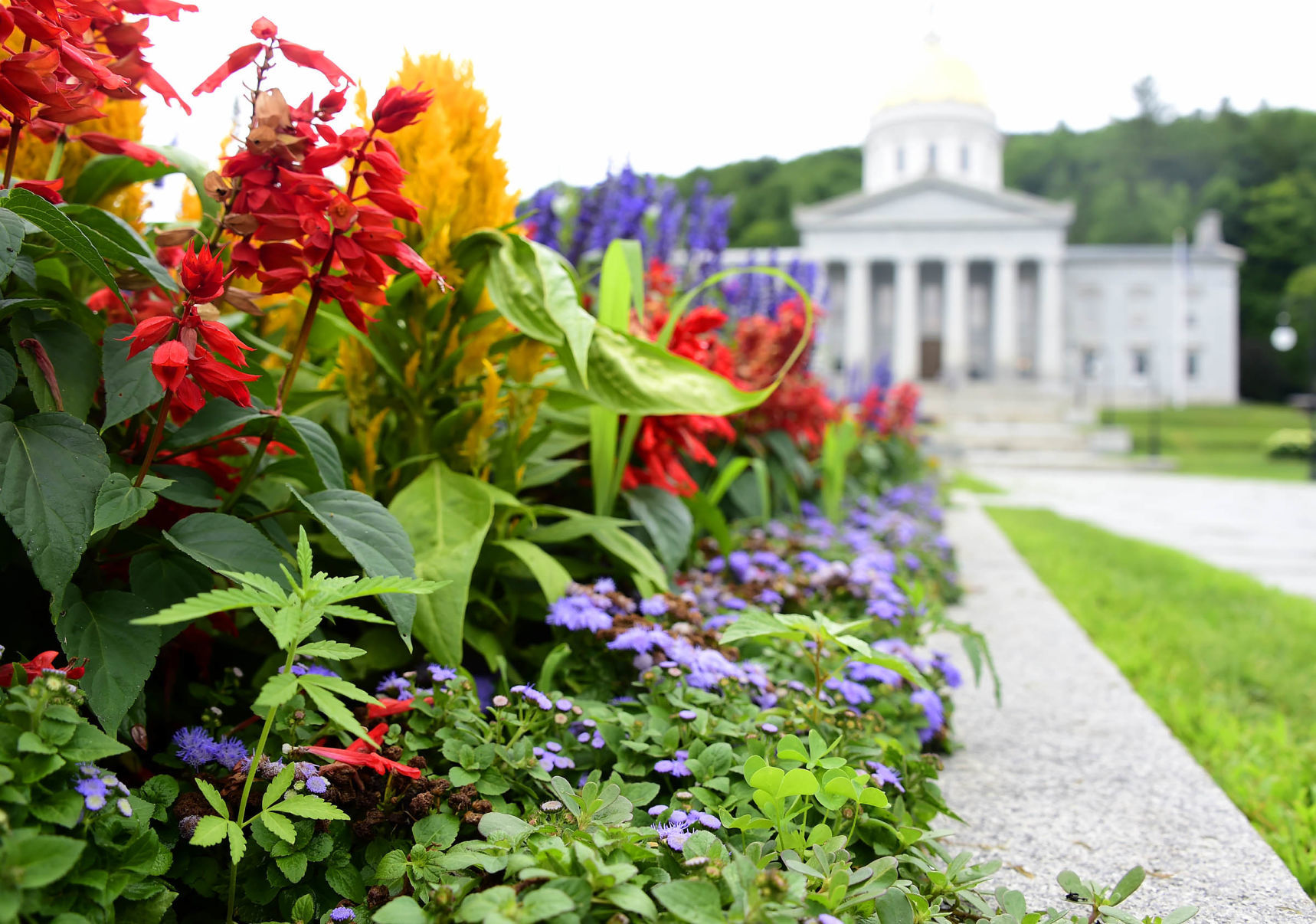Cannabis found near State House